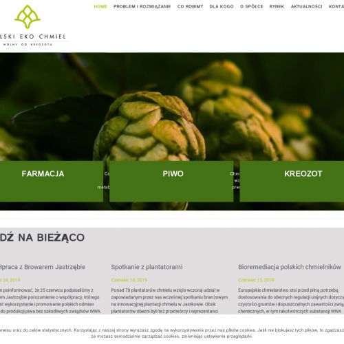 Chmiel do piwa rzemieślniczego