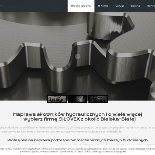 Kraków - naprawa podnośnika hydraulicznego