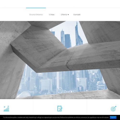 Cement szary portland