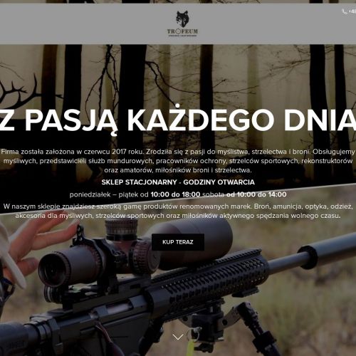 Malbork - pistolet kapiszonowy