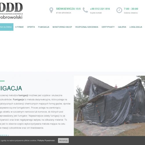 Usuwanie gniazd os w Toruniu