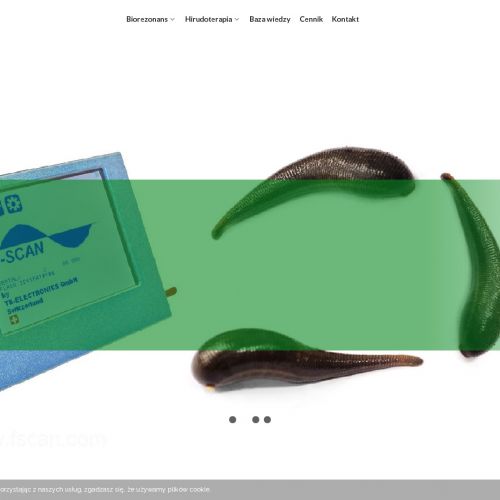 Pijawki w Józefowie