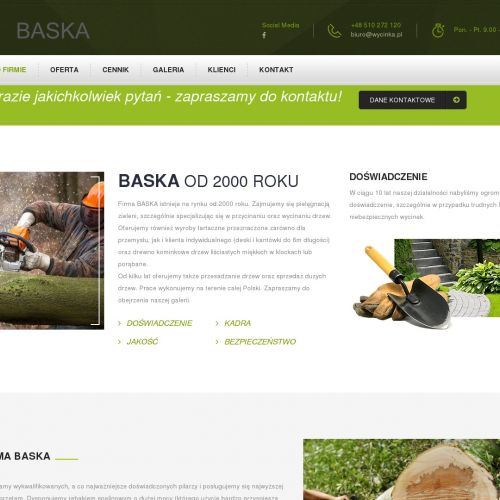 Nasadzenia zastępcze - Chorzów