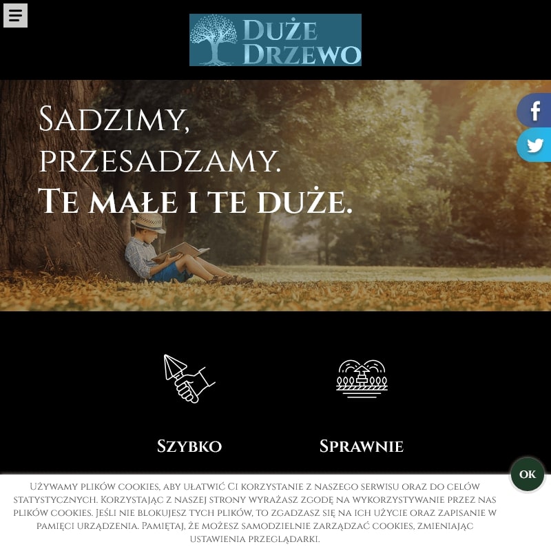 Przesadzanie drzew śląsk
