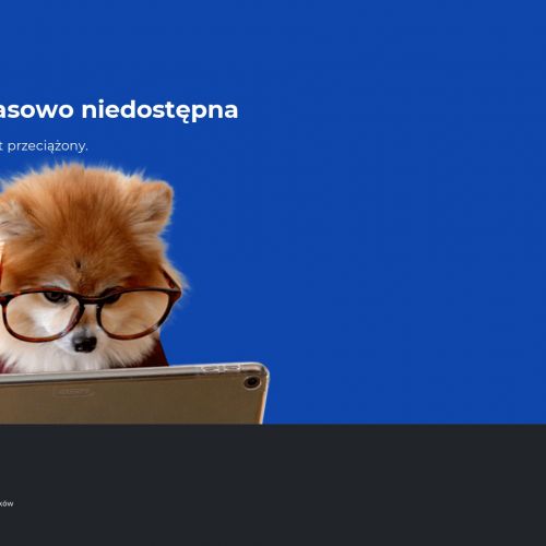 Dezynsekcja warszawa pluskwy