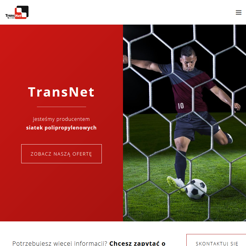 Wrocław - piłkochwyty producent